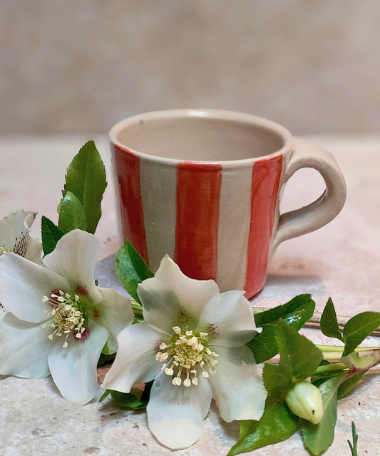 Coral Striped Mug