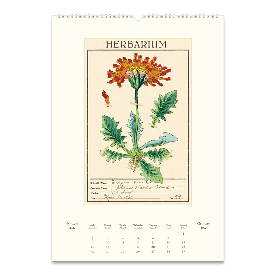 Herbarium 2022 Wall Calendar